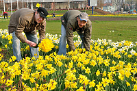 Dziewiąte elbląskie „Pola nadziei”