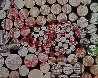 Dziś wystawa Czechów w Światowidzie