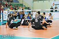 Elbląg Cup w siatkówce na siedząco. Będzie nawet Japonia