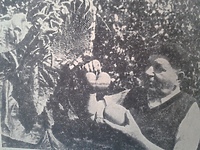 Elbląg na drugim miejscu