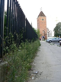 Elbląg zarasta chwastami