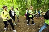 Elbląskie Włóczy-Kije zapraszają na wspólne wędrowanie po lesie