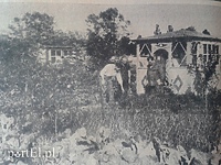 Elblążanie dbają o swoje ogrody działkowe