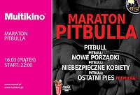 ENEMEF: Maraton Pitbulla -  on wygrał bilety