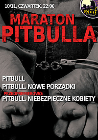 ENEMEF: Maraton Pitbulla - on wygrał zaproszenie