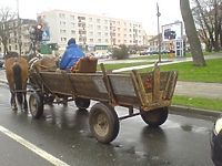 Fura, skóra i komóra