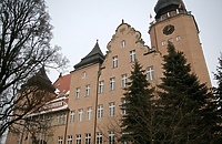 Granty z Międzynarodowego Funduszu Wyszehradzkiego