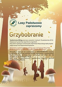 Grzybobranie z leśnikami