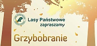 Grzybobranie z leśnikami