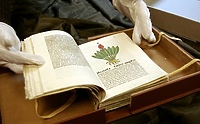 Herbarius Johanessa Petriego ponownie w Bibliotece Elbląskiej