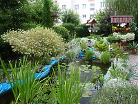 Nad Jarem i SOS-W nr 2 najładniejsze