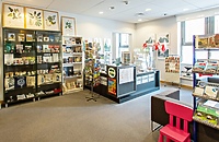 Turystów z Polski przybywa w mieście