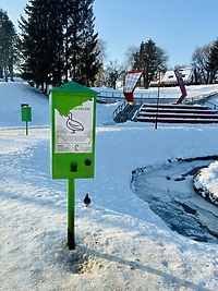 Jak to z karmieniem kaczek bywa