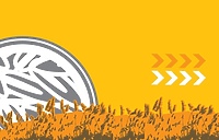 Jak założyć organizację?