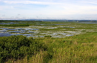 By Elbląg przyspieszył (opinia nadesłana)