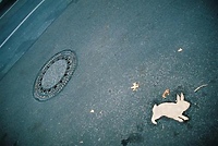 Oskarowy wieczór w Światowidzie