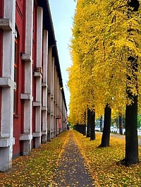 Jesienna droga Fotką Października