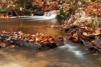 Z przewodnikiem z biegiem Kumieli
