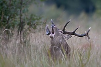 Jest sobota, jest quiz