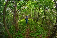 Jest sobota, jest quiz. Jak dobrze znasz Wysoczyznę Elbląską?