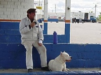 W kinie: Bombon - El Perro