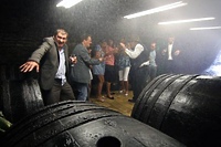 Kino Światowid: Młode wino