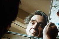 Kwiat wiśni – najpiękniejszy symbol przemijania