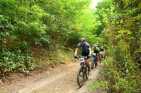 Kadyny MTB Maraton
