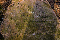 To nie jest taki zwykły głaz (Opowieści z lasu, odc. 171)