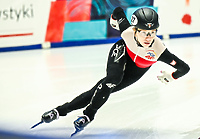 Srebrna Kamila