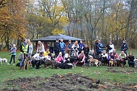 Karnawałowy Bieg na Sześć Łap już w sobotę