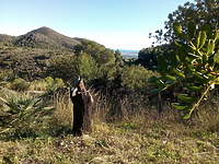 Kartka z podróży  (cz.2, felieton Marii Kasprzyckiej)