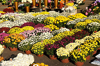 Każdy znicz ma swojego klienta