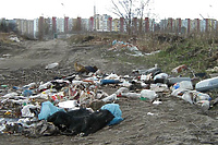 Kierunek rozwoju – Modrzewina