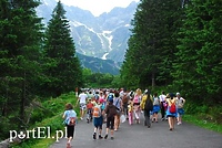 Kolonie i półkolonie w czasie  pandemii