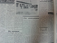 Konie pasące się w pobliżu Galerii EL