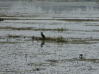 Historia okolic Elbląga: Wokół kanału (odc. 162)