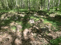 Piórkowo. W poznawaniu “Leśnej Prawdy”  (Na spacer z portElem, odc. 3)