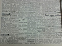 Łąka w centrum miasta