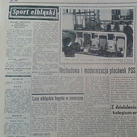 Lasy elbląskie bogate w zwierzynę