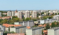Lato w Formie - tydzień dziewiąty