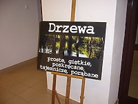 Leśna fotografia