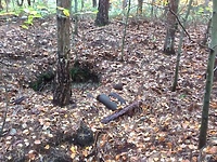 Leśnicy znaleźli niewybuchy