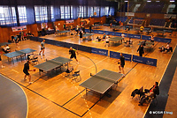 Liga i Grand Prix Elbląga w tenisie stołowym