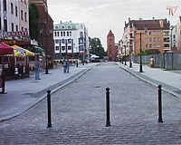 Mądry Polak na zagrodzie?