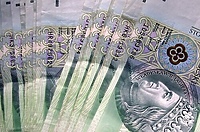Mało propozycji radnych do budżetu