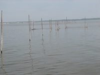 Manipulacja, konfabulacja czy tylko noworoczne życzenia?