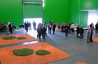 Wikrowo – warzywne królestwo