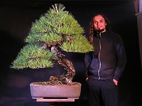 Wystawa Drzewek Bonsai
