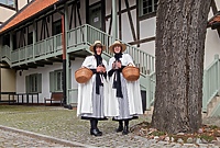 Mateczki Adwentowe wracają na ulice Elbląga